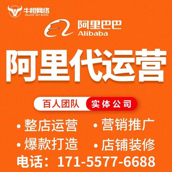 三河电商代运营