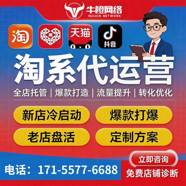 三河电商代运营