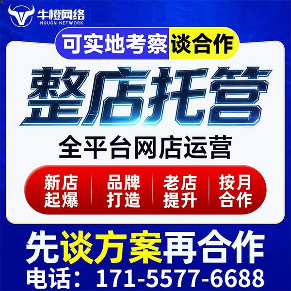 三河电商代运营