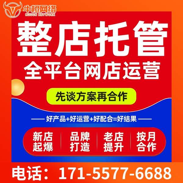 三河电商代运营
