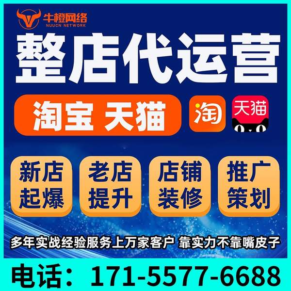 三河电商代运营