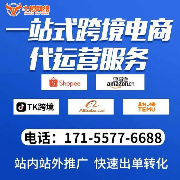 三河电商代运营
