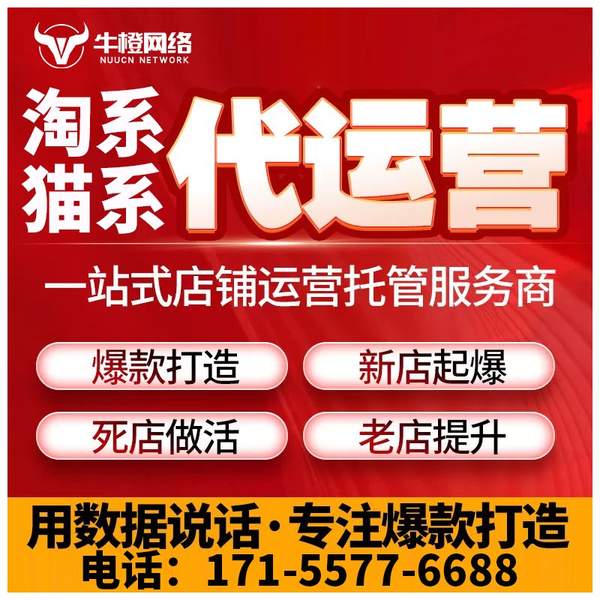 三河电商代运营